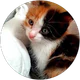 Glcn cck profil fotoğrafı