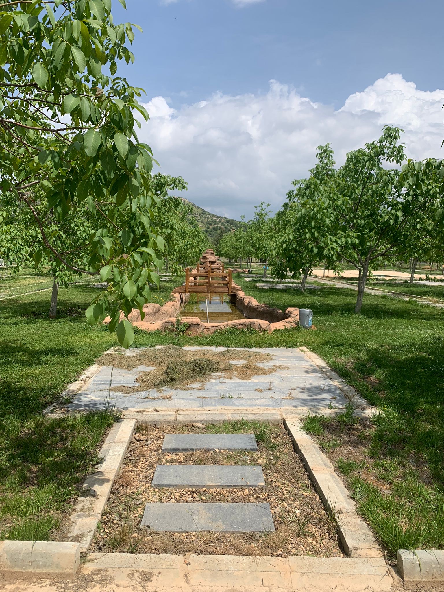 H&M Garden — Artuklu, Mardin kır düğünü mekanı görsel 3