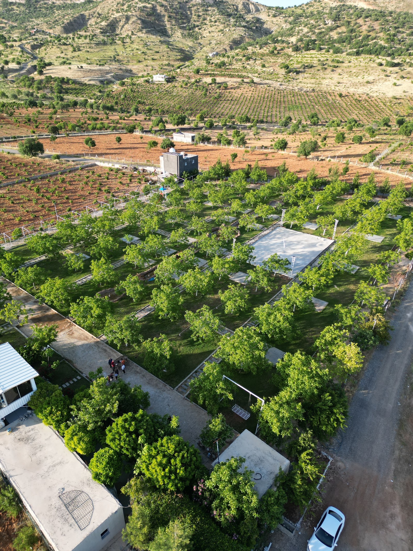 H&M Garden — Artuklu, Mardin kır düğünü mekanı görsel 9