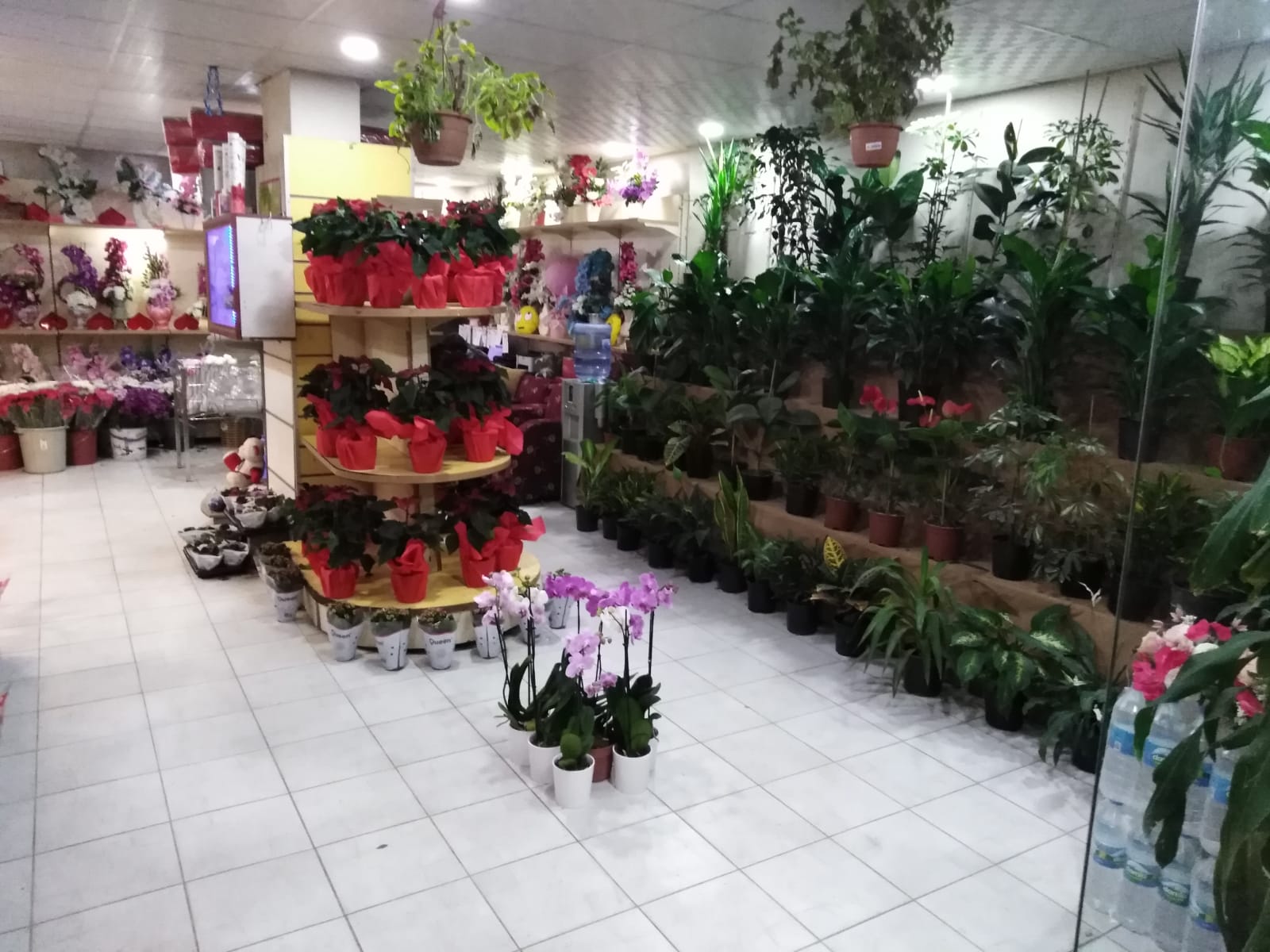 interflower çiçekçilik & çikolata